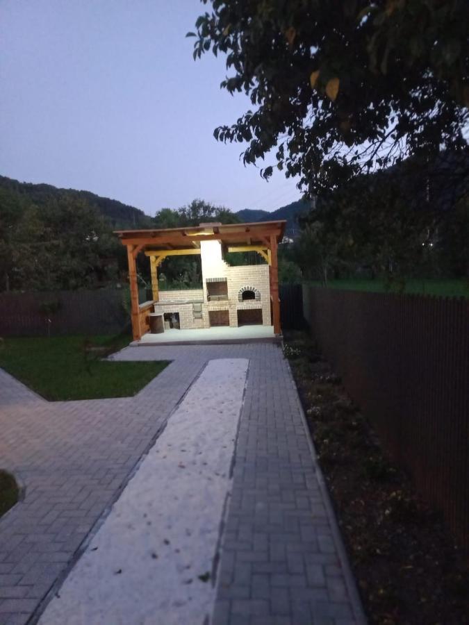 Vişeu de Sus Casa Edyヴィラ エクステリア 写真