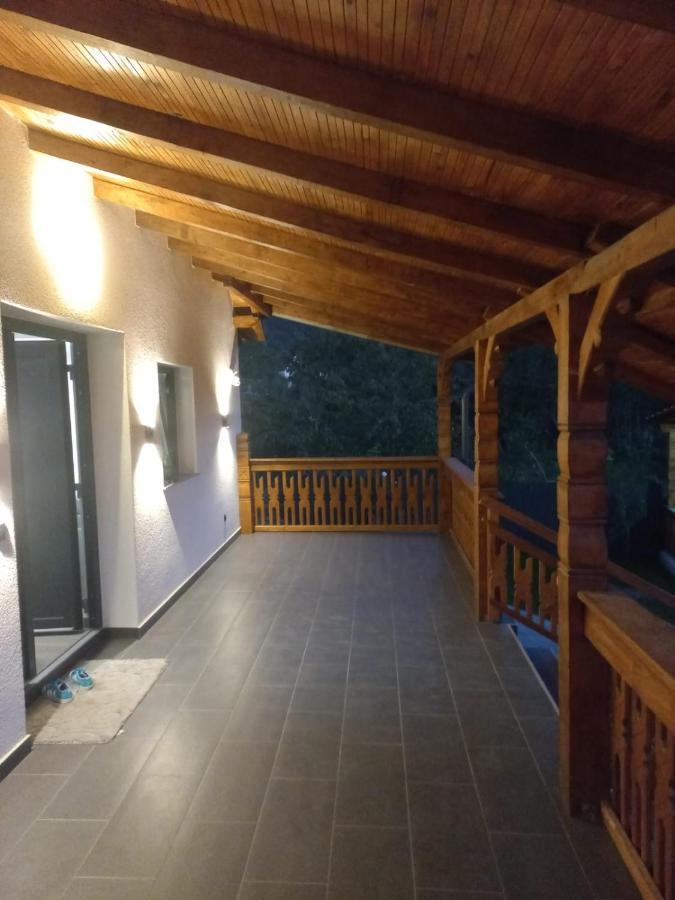 Vişeu de Sus Casa Edyヴィラ エクステリア 写真