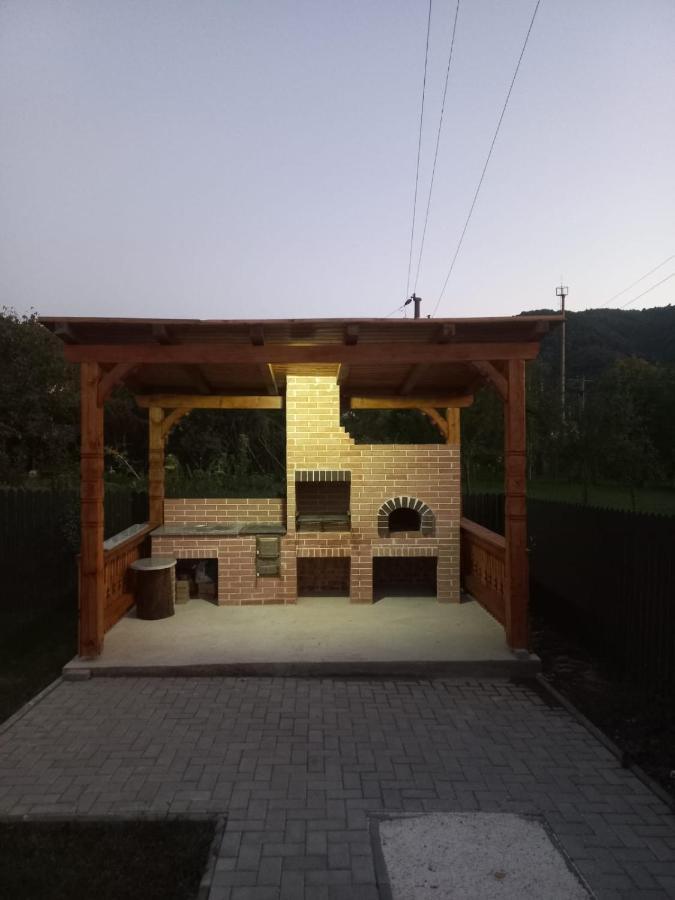 Vişeu de Sus Casa Edyヴィラ エクステリア 写真
