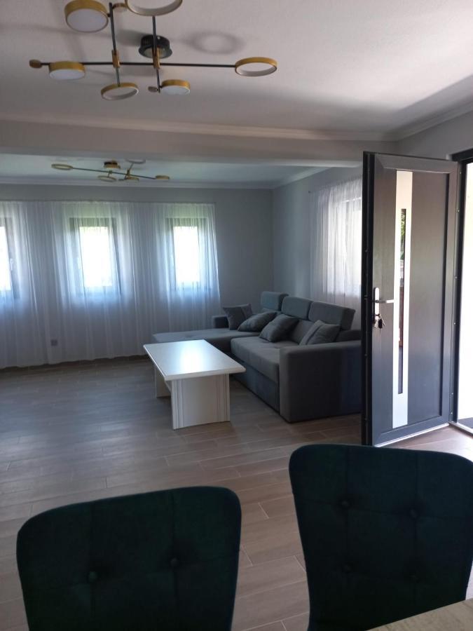 Vişeu de Sus Casa Edyヴィラ エクステリア 写真