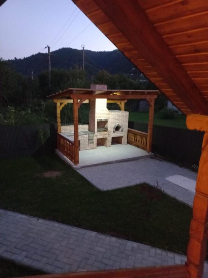Vişeu de Sus Casa Edyヴィラ エクステリア 写真