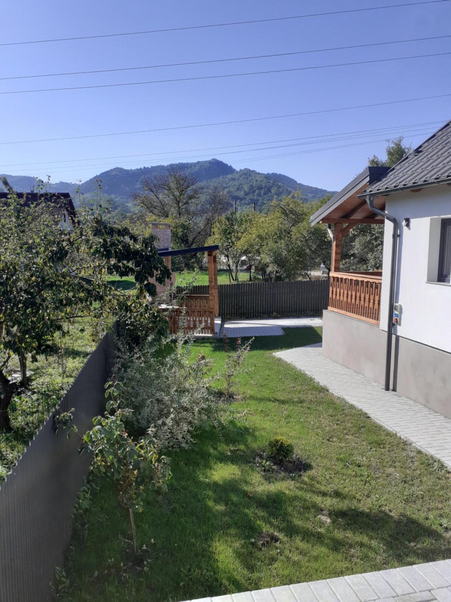Vişeu de Sus Casa Edyヴィラ エクステリア 写真