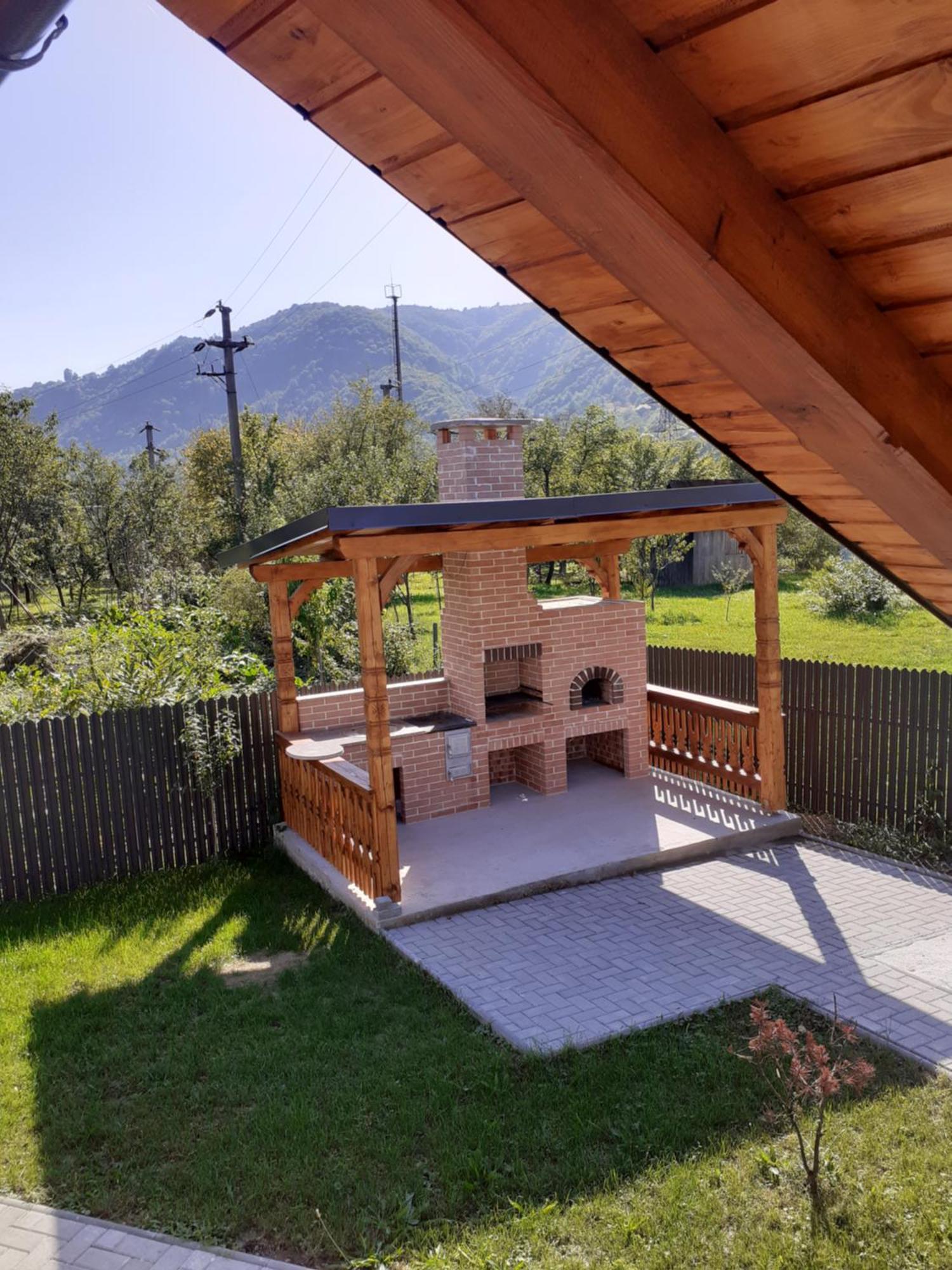 Vişeu de Sus Casa Edyヴィラ エクステリア 写真